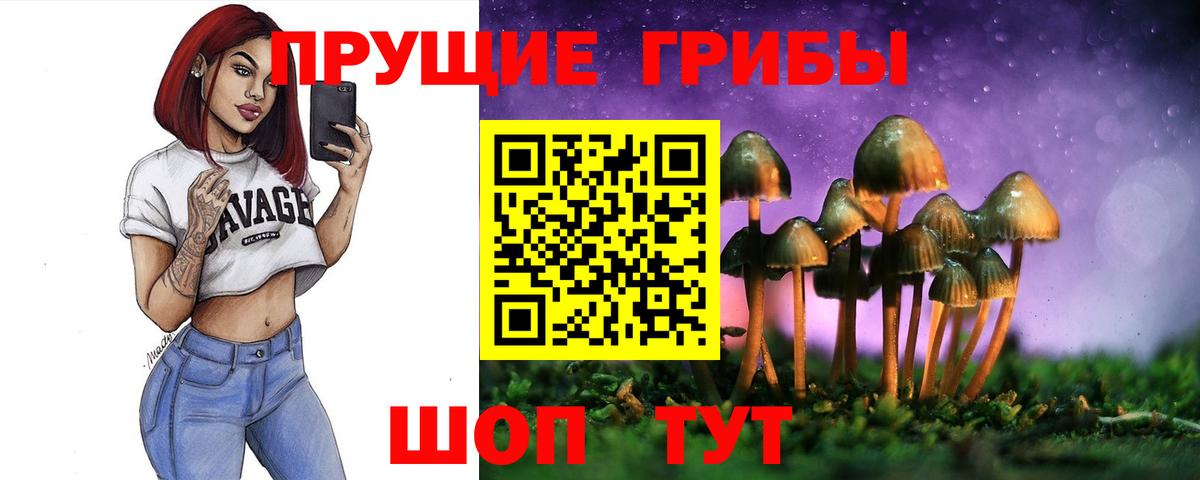 Псилоцибиновые грибы мицелий Североуральск